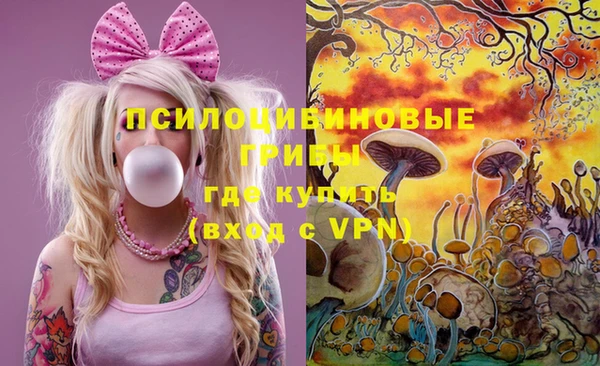 apvp Армянск