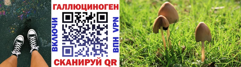 Галлюциногенные грибы мухоморы  Сим 